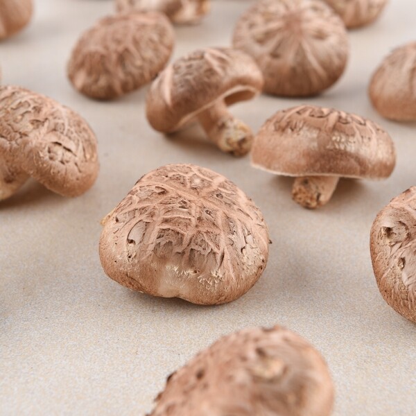 리버마켓@온라인,[청풍농원] 표고버섯